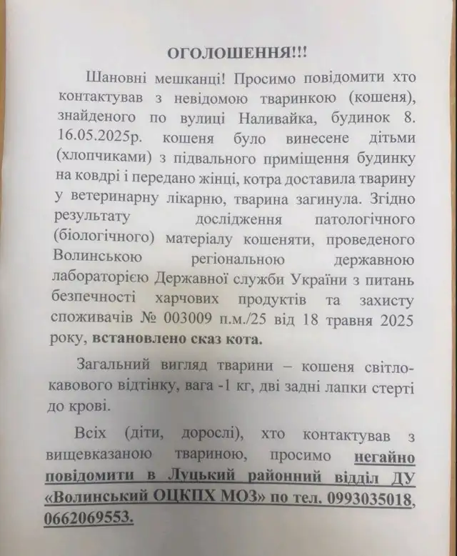 У Луцьку зафіксували випадок сказу: мешканців просять повідомити про контакти з кошеням
