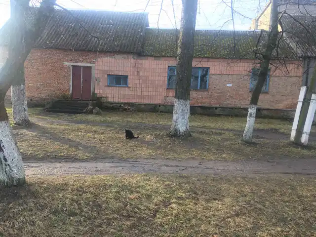 У центрі Іваничів виставили на продаж держмайно: ветстанція, гаражі та конюшня за стартовою ціною 224 тисячі